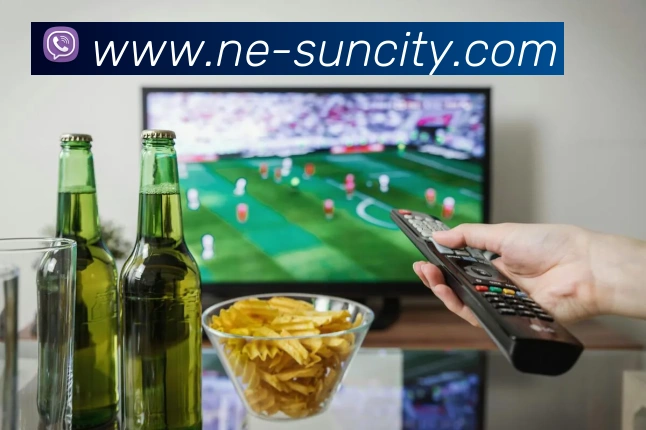 太阳城网站发展历程